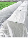 3 x 12M Garden Fleece Blanket, 35gsm Plant Fleece Frost Protection - Image 5